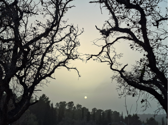 לא כל קושי הוא הפרעת קשב